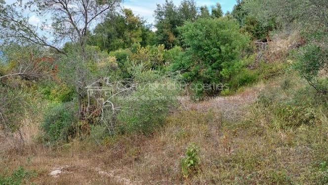 Building Plot in Melitieoi, Corfu — Photo 18 of 24