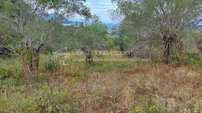 Building Plot in Melitieoi, Corfu — Photo 9 of 24
