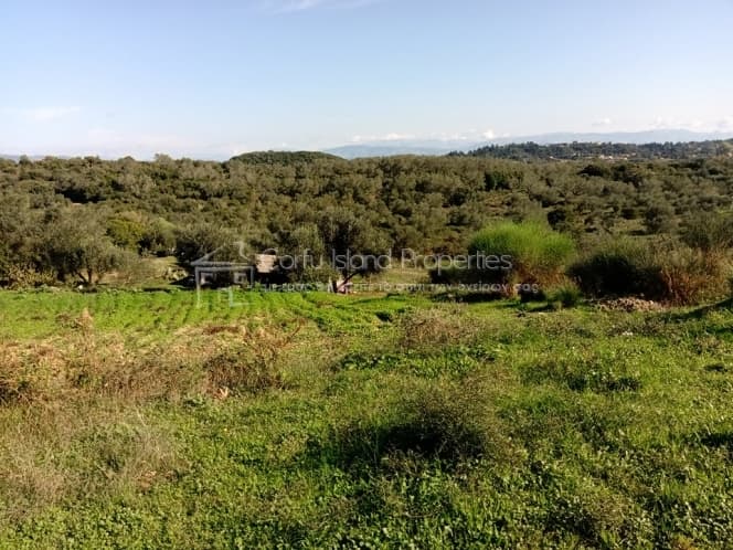 Building Plot in Pareli, Corfu — Photo 4 of 24