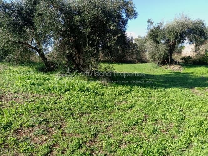 Building Plot in Pareli, Corfu — Photo 3 of 24