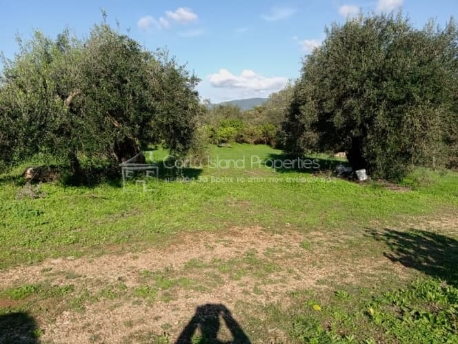 Building Plot in Pareli, Corfu — Photo 6 of 24