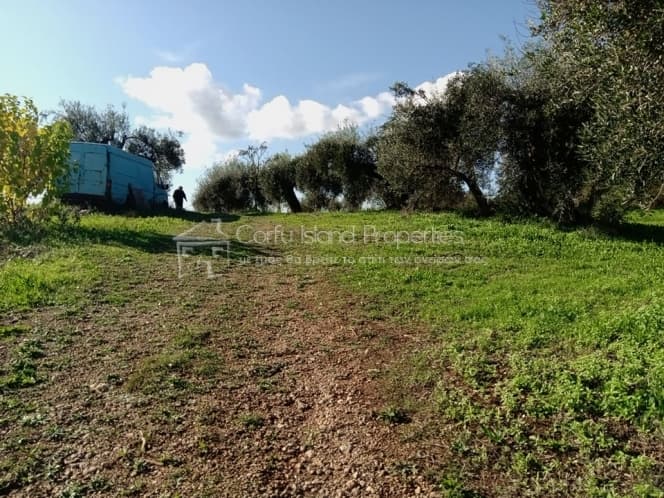 Building Plot in Pareli, Corfu — Photo 17 of 24