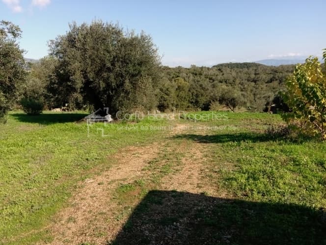 Building Plot in Pareli, Corfu — Photo 22 of 24