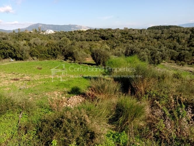 Building Plot in Pareli, Corfu — Photo 5 of 24