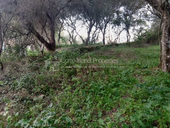 Building Plot in Pareli, Corfu — Photo 4 of 14