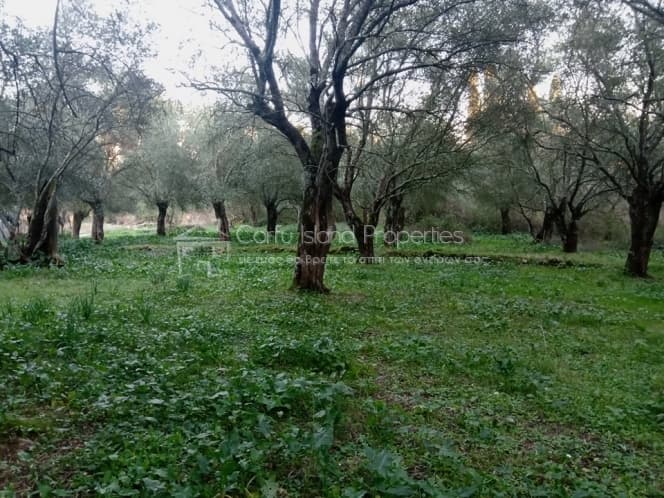 Building Plot in Pareli, Corfu — Photo 2 of 14