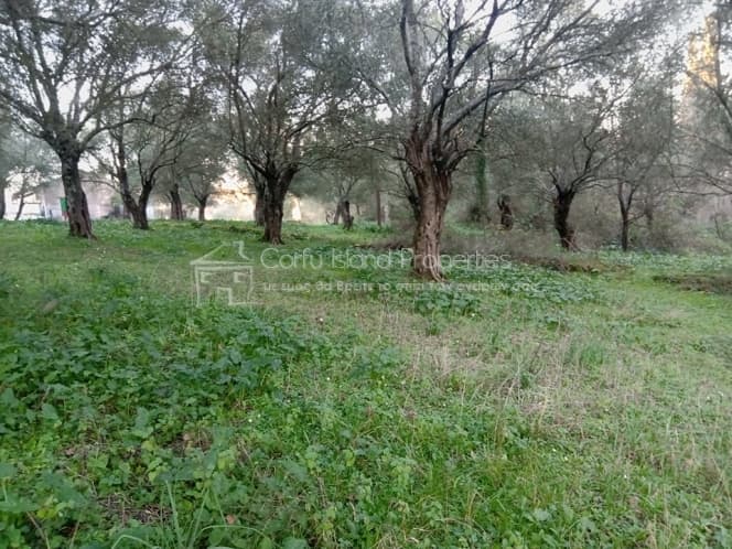 Building Plot in Pareli, Corfu — Photo 3 of 14