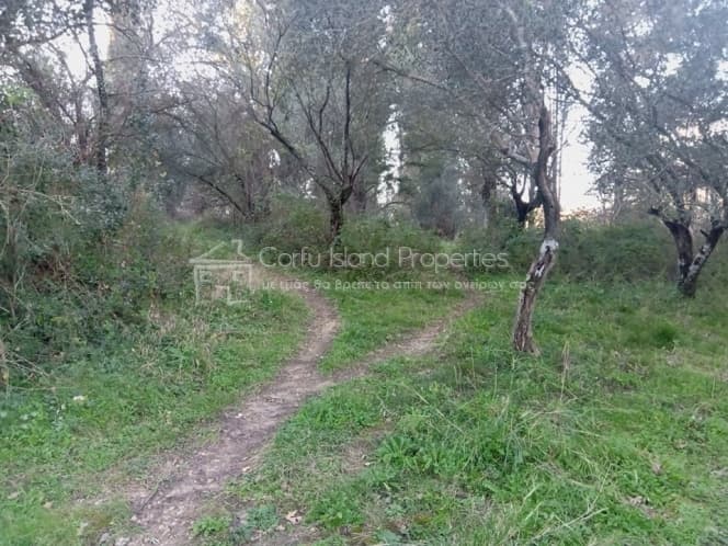 Building Plot in Pareli, Corfu — Photo 6 of 14