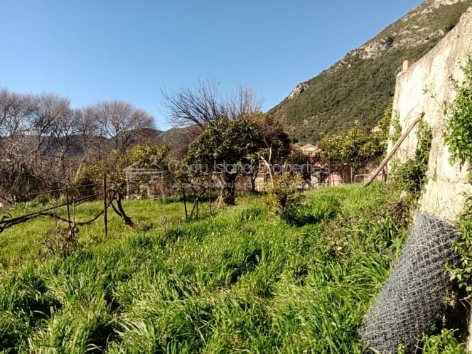 Building Plot in Faiakes, Corfu — Photo 6 of 14