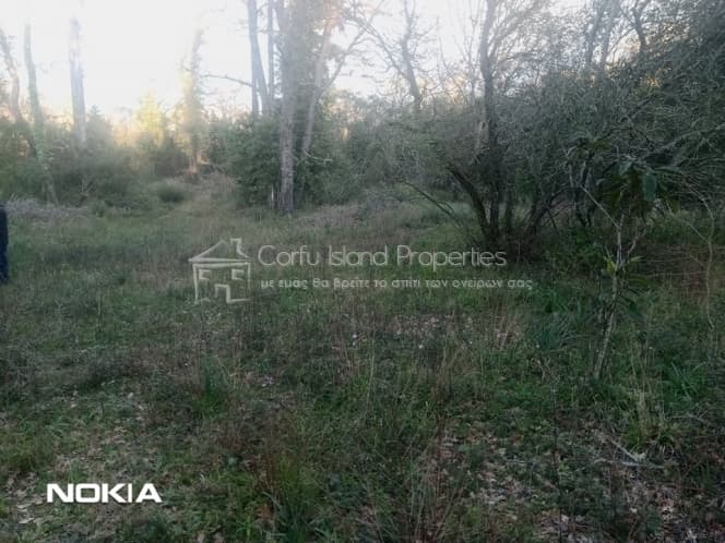 Building Plot in Faiakes, Corfu — Photo 12 of 28