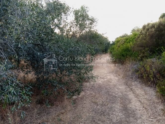 Event Hall in Melitieoi, Corfu — Photo 15 of 19