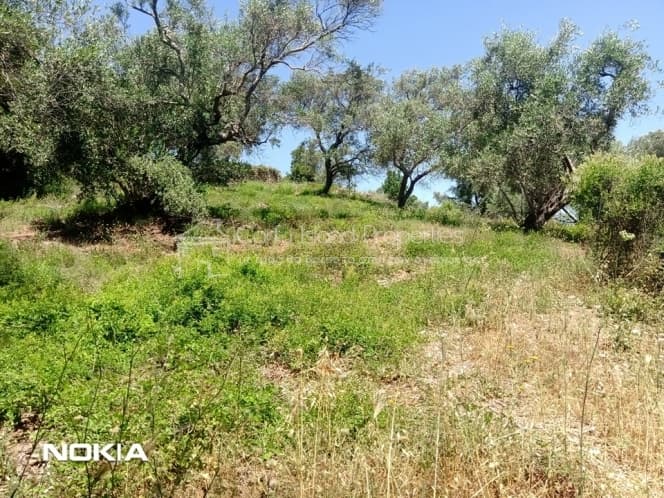 Building Plot in Pareli, Corfu — Photo 1 of 15