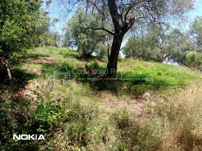 Building Plot in Pareli, Corfu — Photo 12 of 15