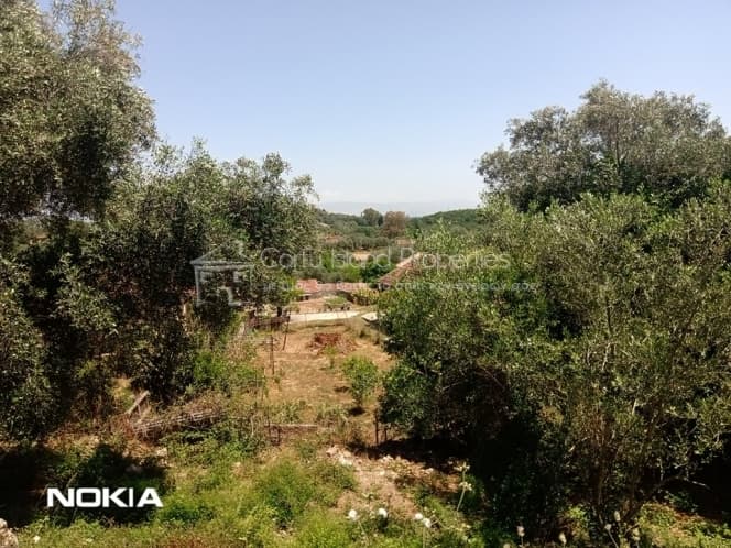 Building Plot in Pareli, Corfu — Photo 13 of 15