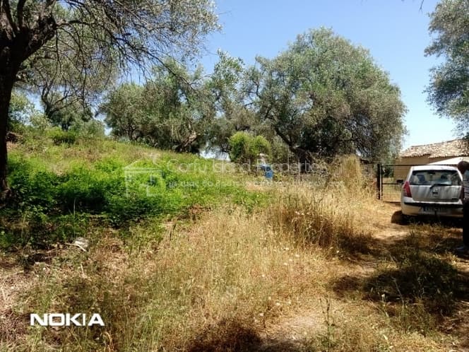 Building Plot in Pareli, Corfu — Photo 10 of 15