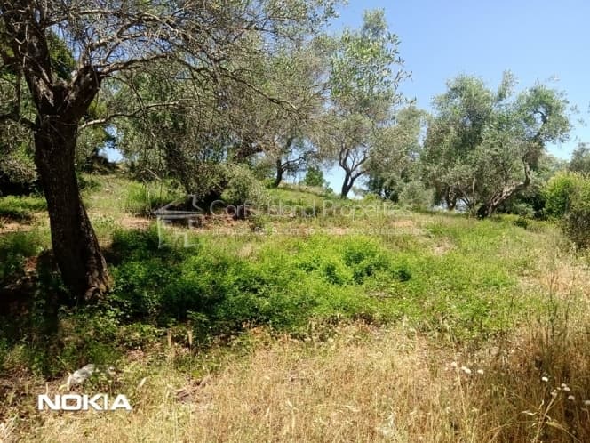Building Plot in Pareli, Corfu — Photo 11 of 15