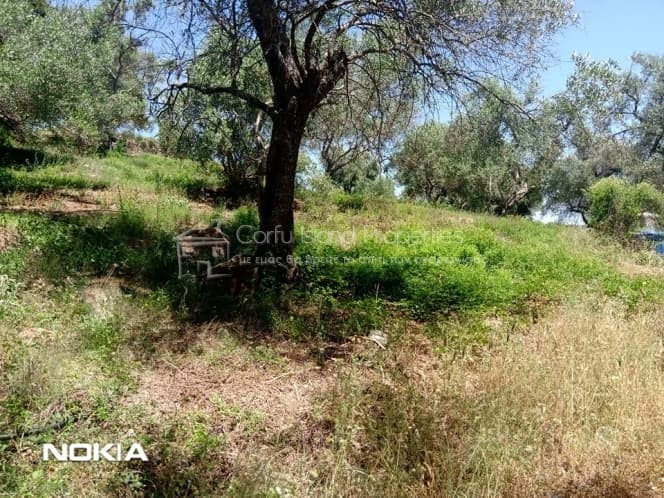 Building Plot in Pareli, Corfu — Photo 4 of 15