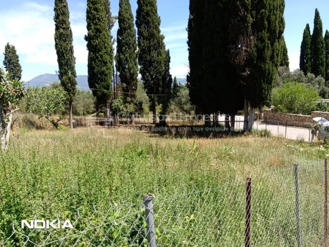 Building Plot in Pareli, Corfu — Photo 6 of 14