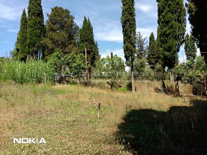 Building Plot in Pareli, Corfu — Photo 4 of 14