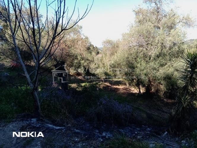 Οικόπεδο στην Παρέλι, Κέρκυρα — Φωτογραφία 14 από 30