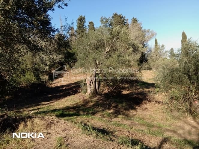 Οικόπεδο στην Παρέλι, Κέρκυρα — Φωτογραφία 16 από 30