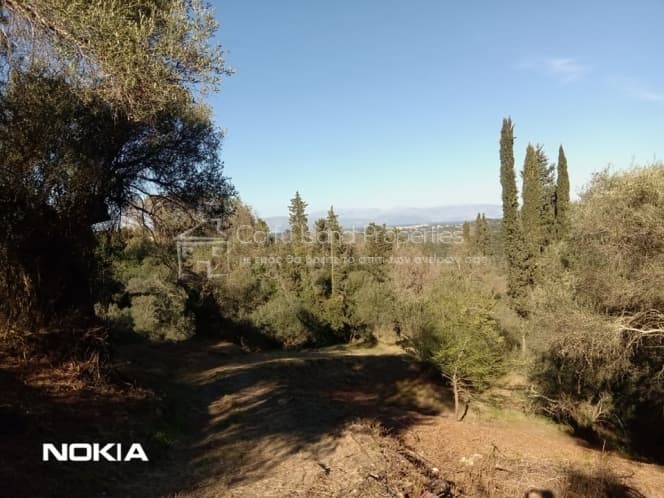 Οικόπεδο στην Παρέλι, Κέρκυρα — Φωτογραφία 26 από 30