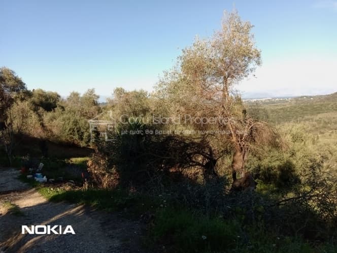 Οικόπεδο στην Παρέλι, Κέρκυρα — Φωτογραφία 18 από 30