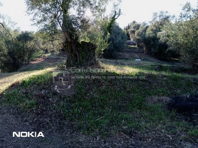 Οικόπεδο στην Παρέλι, Κέρκυρα — Φωτογραφία 20 από 30