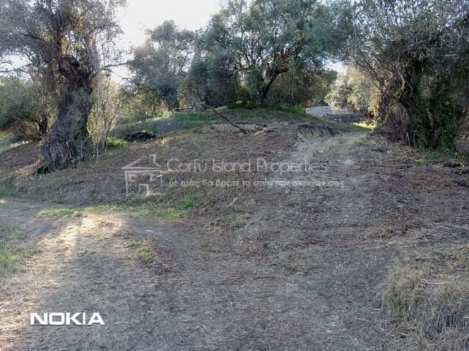 Οικόπεδο στην Παρέλι, Κέρκυρα — Φωτογραφία 4 από 30