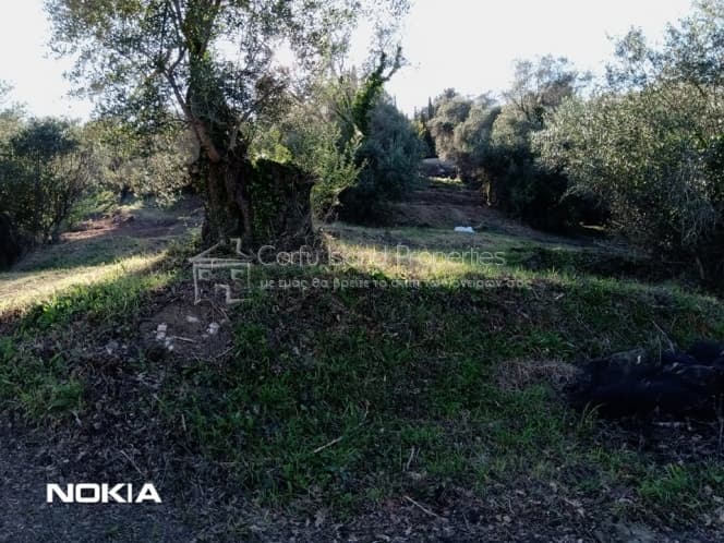 Οικόπεδο στην Παρέλι, Κέρκυρα — Φωτογραφία 19 από 30