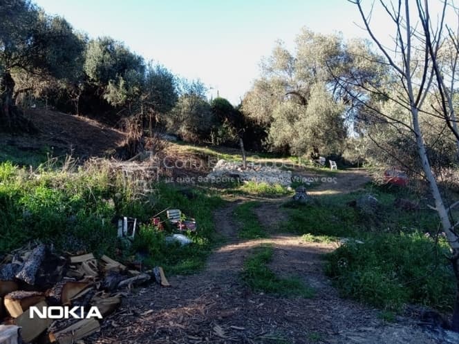 Οικόπεδο στην Παρέλι, Κέρκυρα — Φωτογραφία 29 από 30