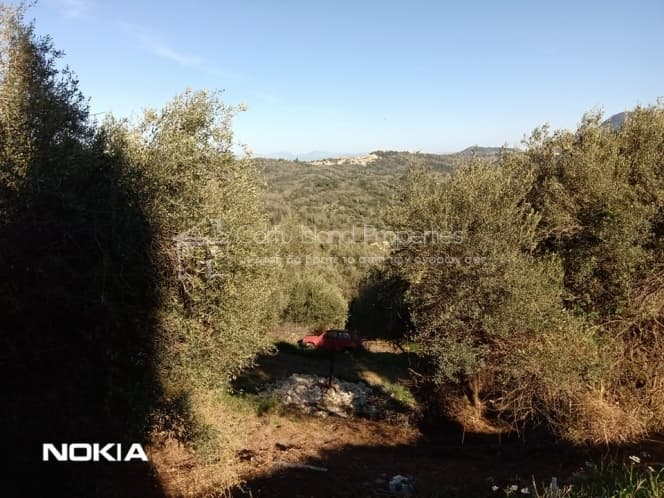 Οικόπεδο στην Παρέλι, Κέρκυρα — Φωτογραφία 25 από 30