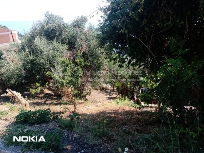 Οικόπεδο στην Παρέλι, Κέρκυρα — Φωτογραφία 6 από 11