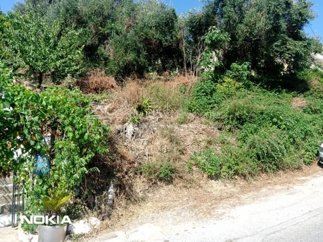 Οικόπεδο στην Παρέλι, Κέρκυρα — Φωτογραφία 5 από 11