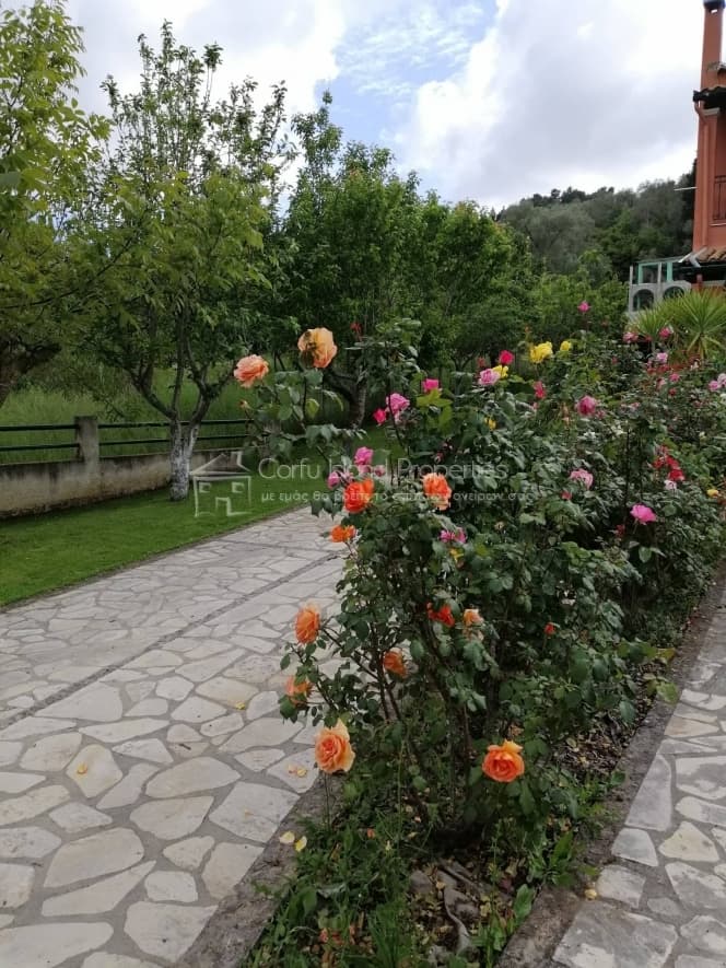 House in Pareli, Corfu — Photo 9 of 30