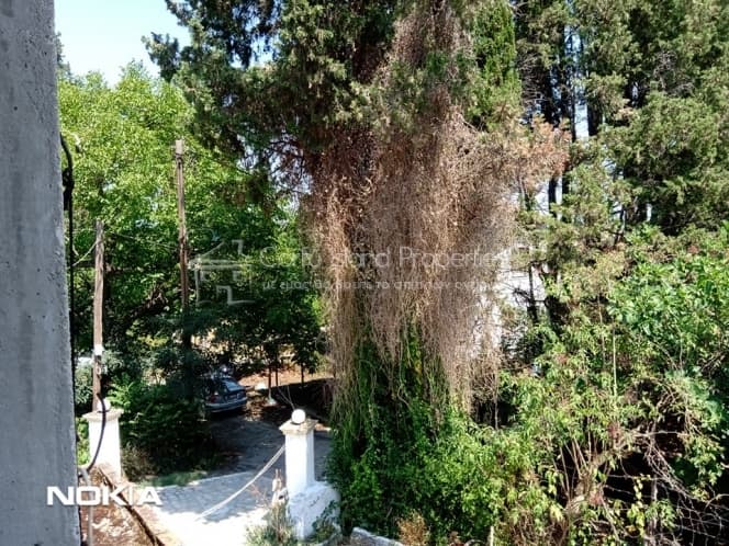 House in Pareli, Corfu — Photo 27 of 30