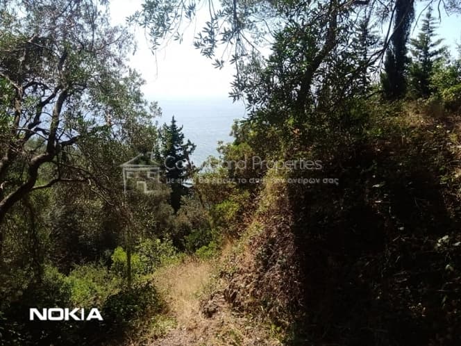 Οικόπεδο στην Αχίλλειο, Κέρκυρα — Φωτογραφία 10 από 13