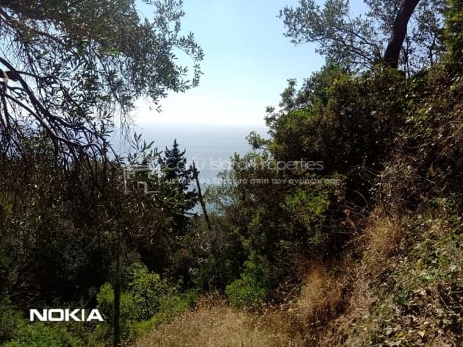 Οικόπεδο στην Αχίλλειο, Κέρκυρα — Φωτογραφία 4 από 13