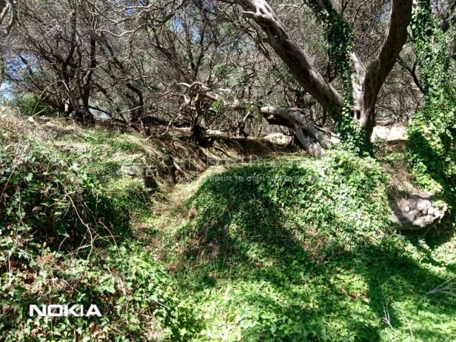 Οικόπεδο στην Αχίλλειο, Κέρκυρα — Φωτογραφία 13 από 13