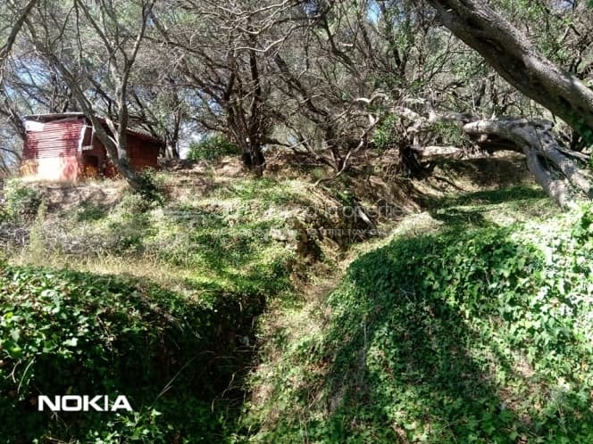 Οικόπεδο στην Αχίλλειο, Κέρκυρα — Φωτογραφία 11 από 13