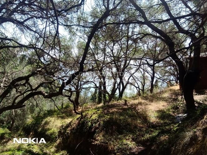 Οικόπεδο στην Αχίλλειο, Κέρκυρα — Φωτογραφία 9 από 13