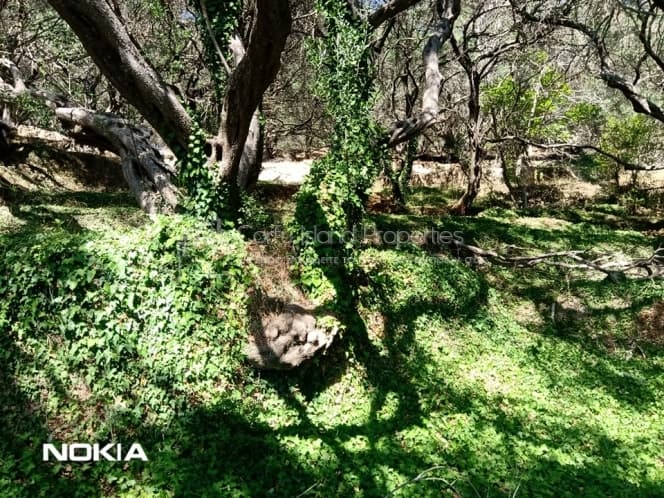 Οικόπεδο στην Αχίλλειο, Κέρκυρα — Φωτογραφία 6 από 13