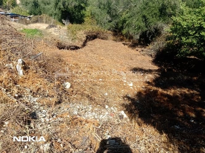 Οικόπεδο στην Αχίλλειο, Κέρκυρα — Φωτογραφία 8 από 10