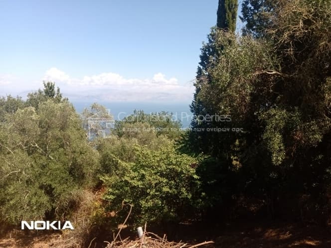 Οικόπεδο στην Αχίλλειο, Κέρκυρα — Φωτογραφία 4 από 10