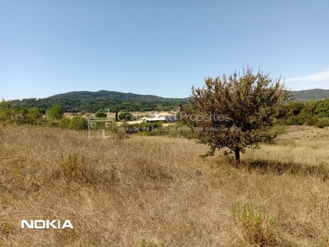 Building Plot in Faiakes, Corfu — Photo 10 of 11