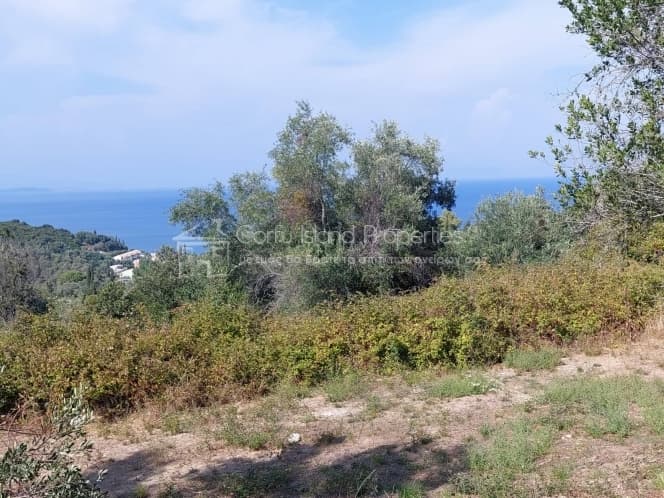 Οικόπεδο στην Μελιτειέοι, Κέρκυρα — Φωτογραφία 10 από 22