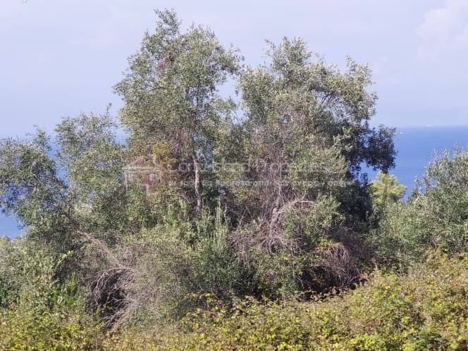 Οικόπεδο στην Μελιτειέοι, Κέρκυρα — Φωτογραφία 3 από 22