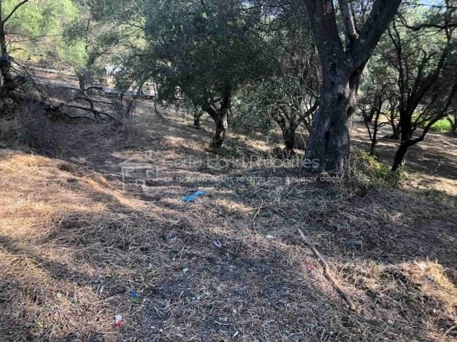 Οικόπεδο στην Μελιτειέοι, Κέρκυρα — Φωτογραφία 19 από 22