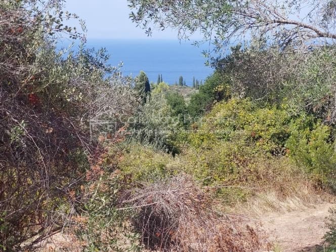 Οικόπεδο στην Μελιτειέοι, Κέρκυρα — Φωτογραφία 8 από 22