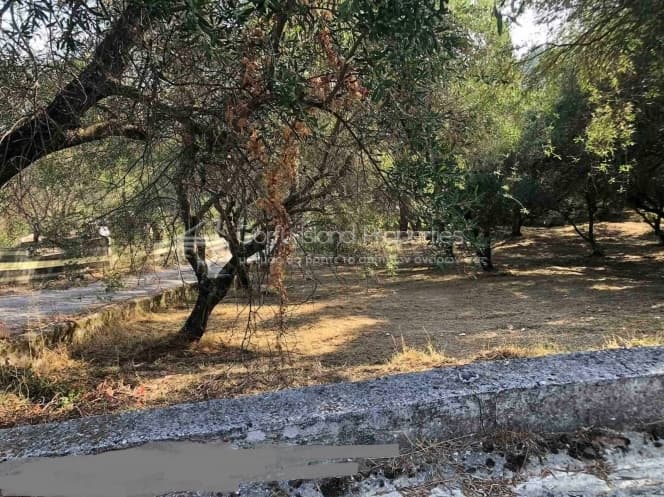 Οικόπεδο στην Μελιτειέοι, Κέρκυρα — Φωτογραφία 20 από 22